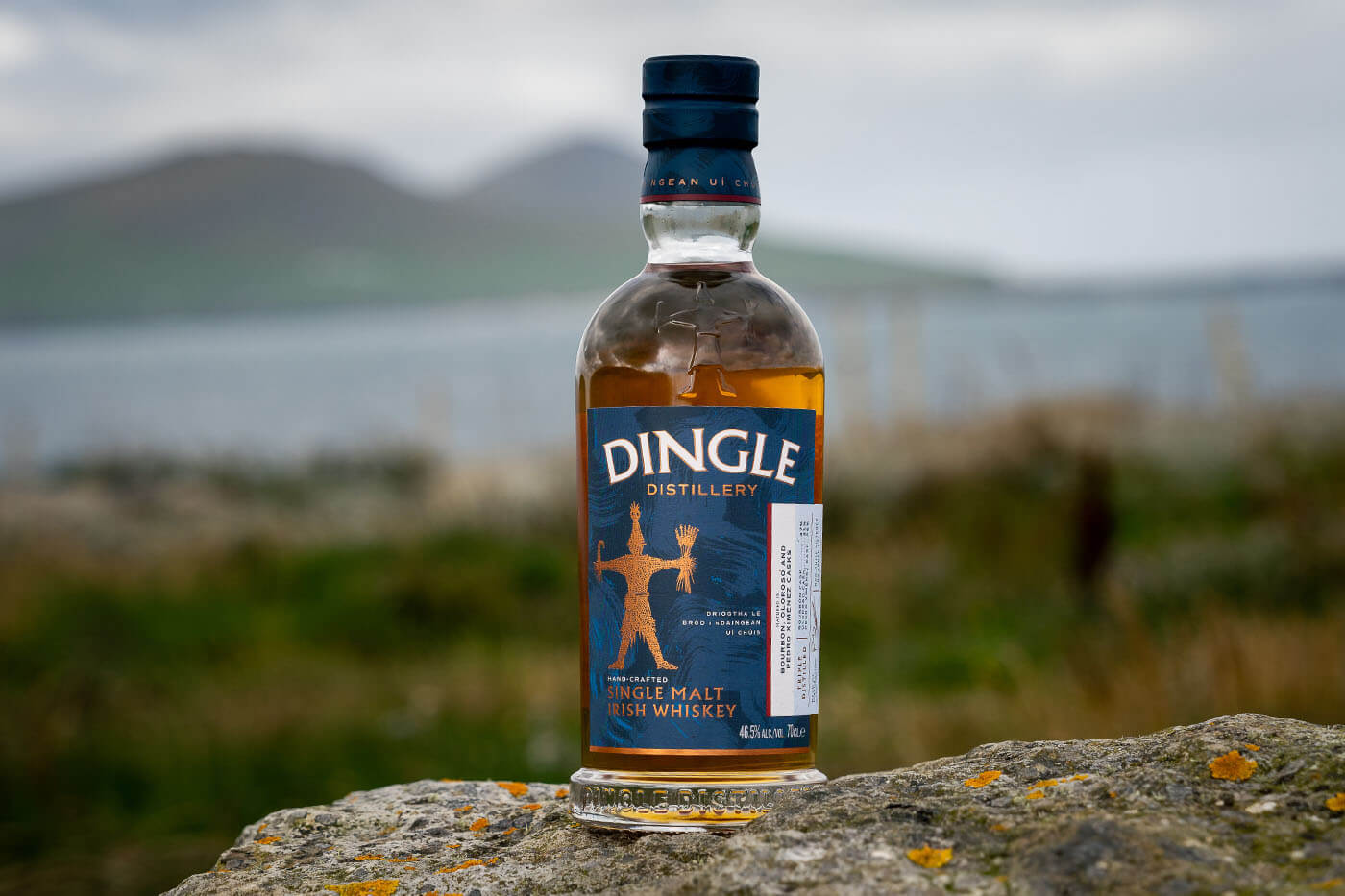 Single Malt Whiskey